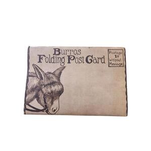Vintage Rare Burros Mexicana Folding Post Cards Souvenir Never Addressed